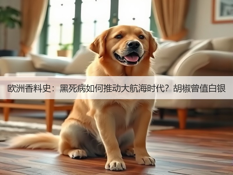 欧洲香料史：黑死病如何推动大航海时代？胡椒曾值白银