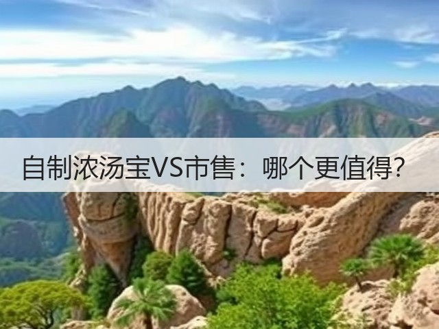 自制浓汤宝VS市售：哪个更值得？(图2)