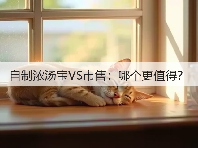自制浓汤宝VS市售：哪个更值得？(图1)