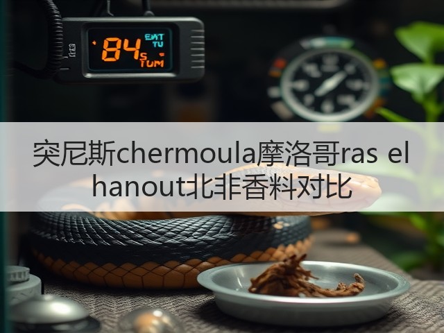 突尼斯chermoula摩洛哥ras el hanout北非香料对比(图5)