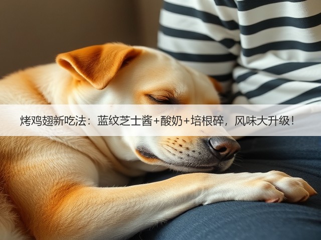 烤鸡翅新吃法：蓝纹芝士酱+酸奶+培根碎，风味大升级！(图1)
