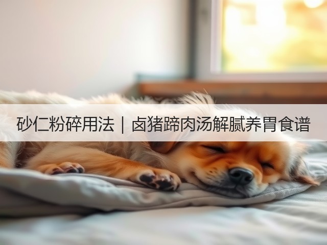 砂仁粉碎用法｜卤猪蹄肉汤解腻养胃食谱(图1)
