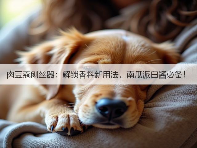肉豆蔻刨丝器：解锁香料新用法，南瓜派白酱必备！(图2)