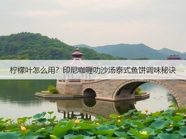 柠檬叶怎么用？印尼咖喱叻沙汤泰式鱼饼调味秘诀(图1)