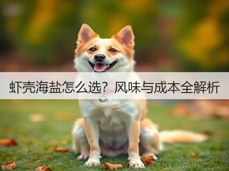 虾壳海盐怎么选？风味与成本全解析