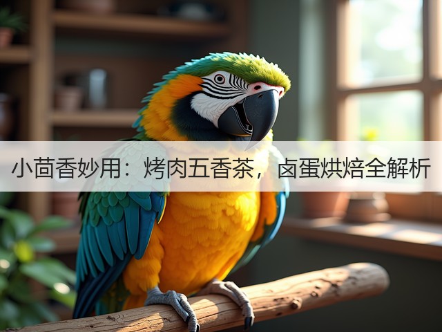 小茴香妙用：烤肉五香茶，卤蛋烘焙全解析(图3)