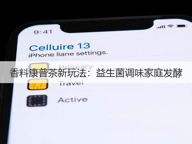 香料康普茶新玩法：益生菌调味家庭发酵(图3)