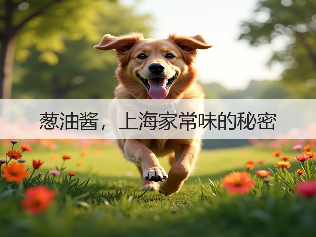 葱油酱，上海家常味的秘密(图1)