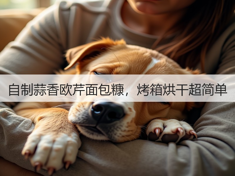 自制蒜香欧芹面包糠，烤箱烘干超简单