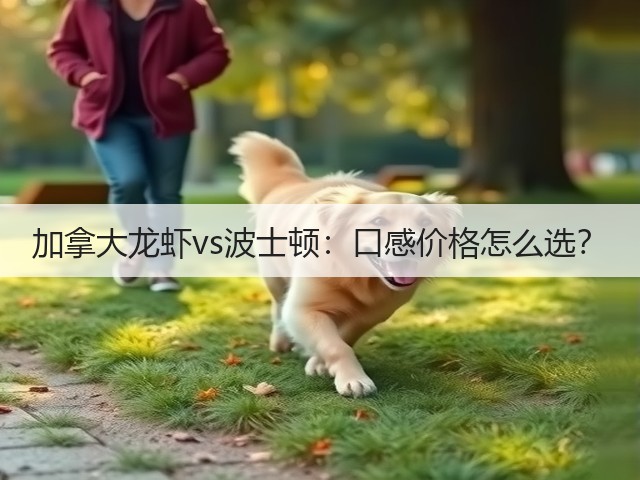 加拿大龙虾vs波士顿：口感价格怎么选？(图1)