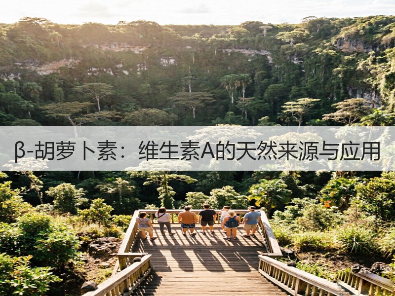 β-胡萝卜素：维生素A的天然来源与应用