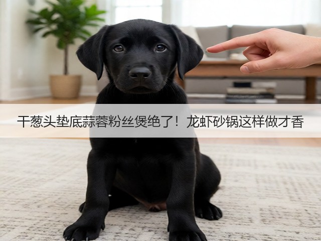 干葱头垫底蒜蓉粉丝煲绝了！龙虾砂锅这样做才香(图1)