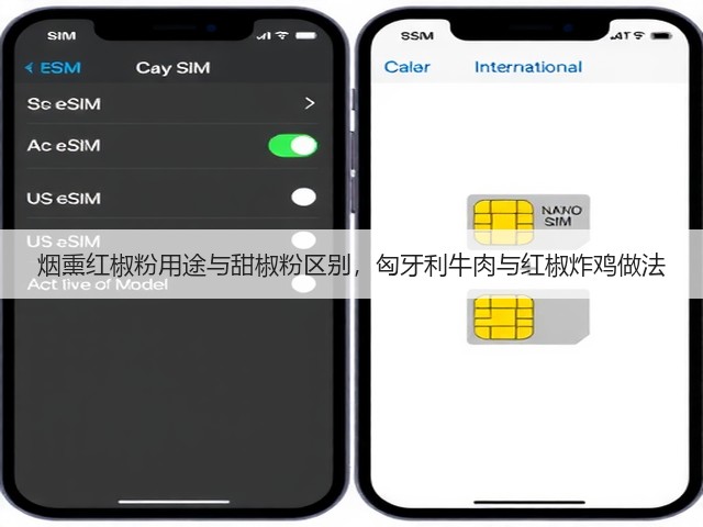烟熏红椒粉用途与甜椒粉区别，匈牙利牛肉与红椒炸鸡做法(图2)