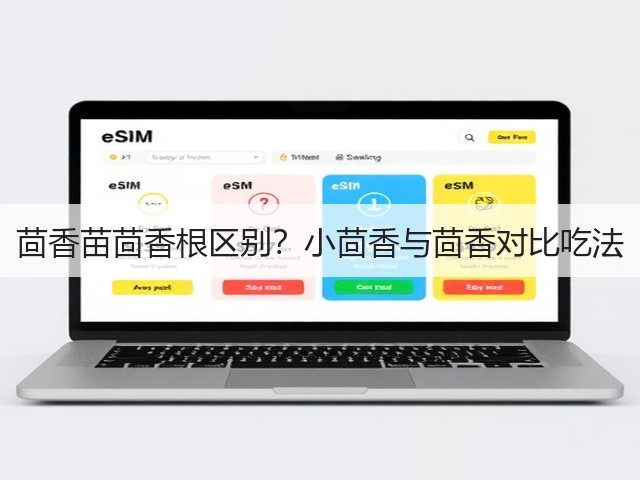 茴香苗茴香根区别？小茴香与茴香对比吃法(图1)