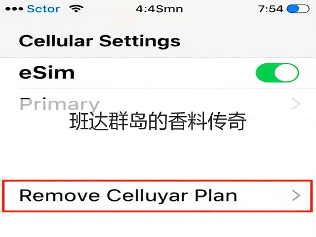 班达群岛的香料传奇(图3)