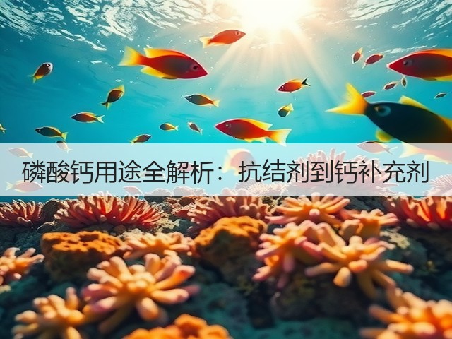 磷酸钙用途全解析：抗结剂到钙补充剂(图2)