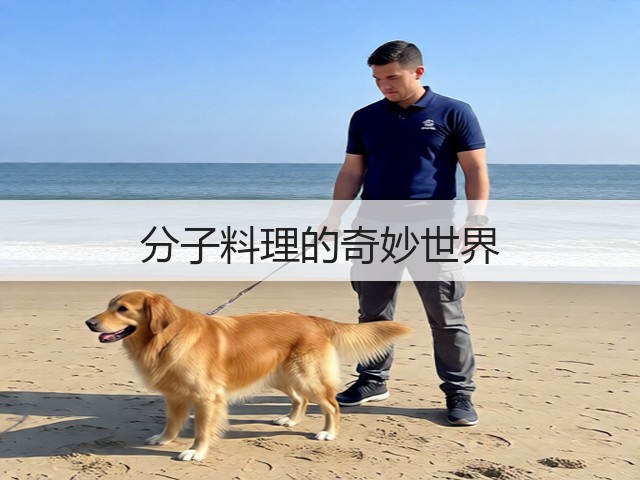 分子料理的奇妙世界(图1)