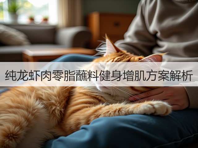 纯龙虾肉零脂蘸料健身增肌方案解析(图3)