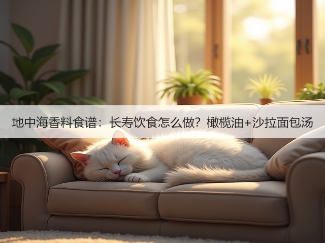 地中海香料食谱：长寿饮食怎么做？橄榄油+沙拉面包汤(图6)