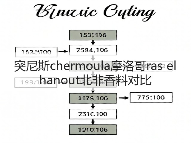 突尼斯chermoula摩洛哥ras el hanout北非香料对比(图3)