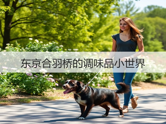 东京合羽桥的调味品小世界(图3)