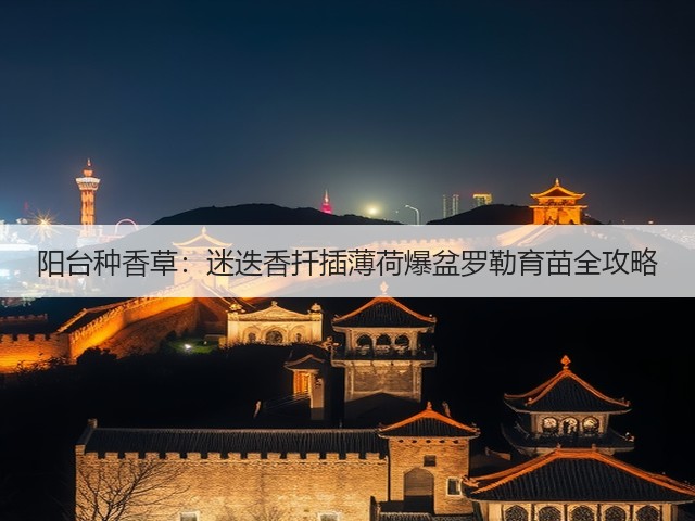 阳台种香草：迷迭香扦插薄荷爆盆罗勒育苗全攻略(图6)