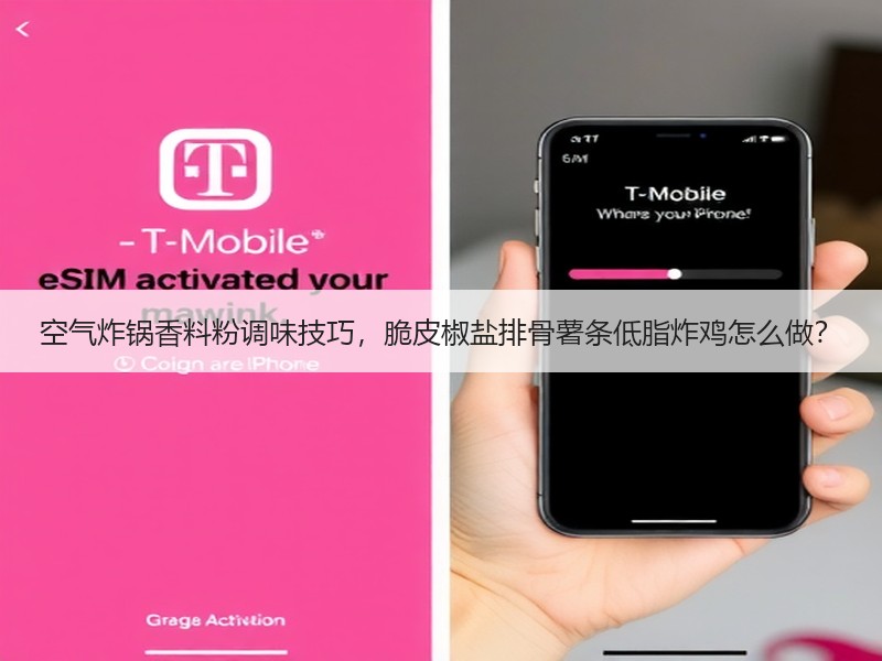 空气炸锅香料粉调味技巧，脆皮椒盐排骨薯条低脂炸鸡怎么做？