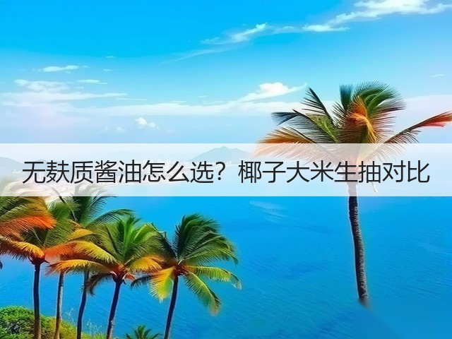 无麸质酱油怎么选？椰子大米生抽对比(图3)