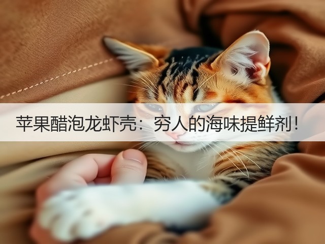 苹果醋泡龙虾壳：穷人的海味提鲜剂！(图3)