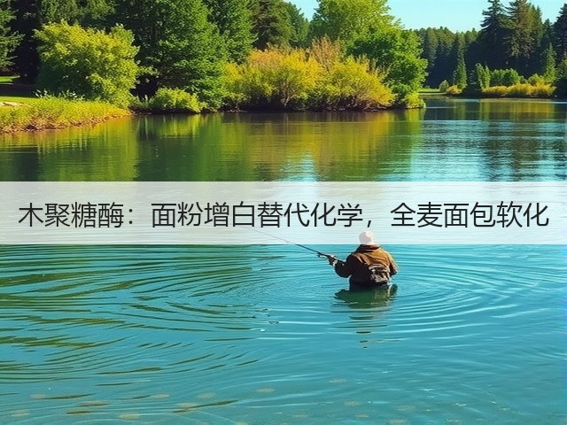 木聚糖酶：面粉增白替代化学，全麦面包软化(图2)