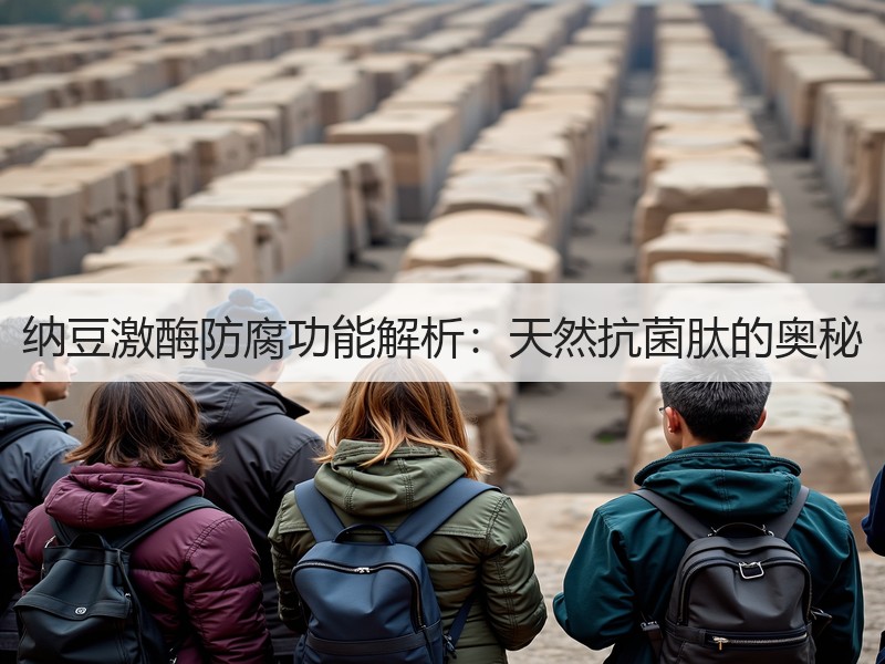 纳豆激酶防腐功能解析：天然抗菌肽的奥秘