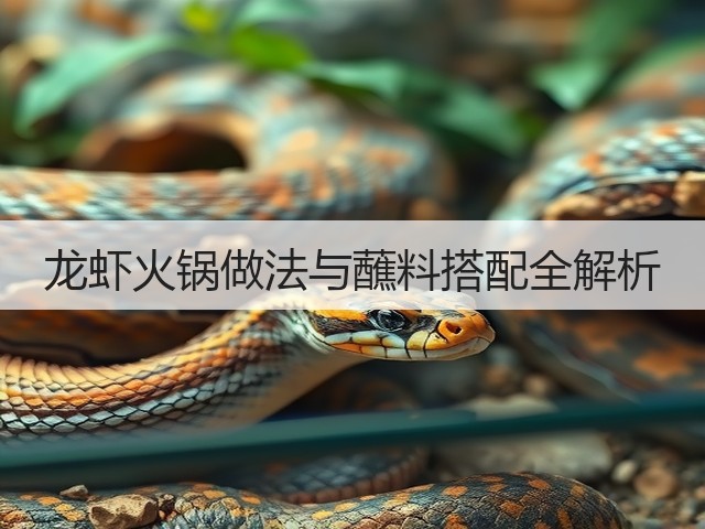 龙虾火锅做法与蘸料搭配全解析(图1)