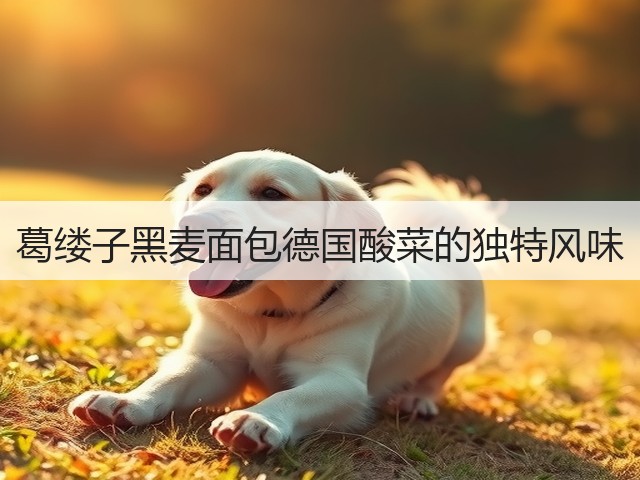 葛缕子黑麦面包德国酸菜的独特风味(图1)