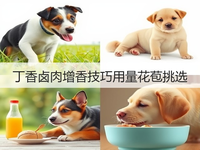丁香卤肉增香技巧用量花苞挑选(图1)