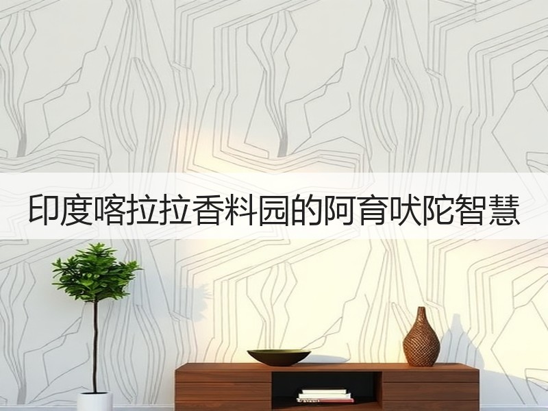 印度喀拉拉香料园的阿育吠陀智慧