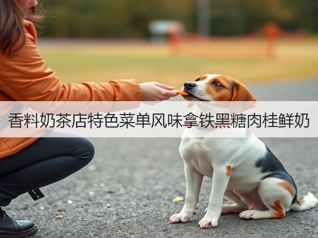 香料奶茶店特色菜单风味拿铁黑糖肉桂鲜奶(图6)
