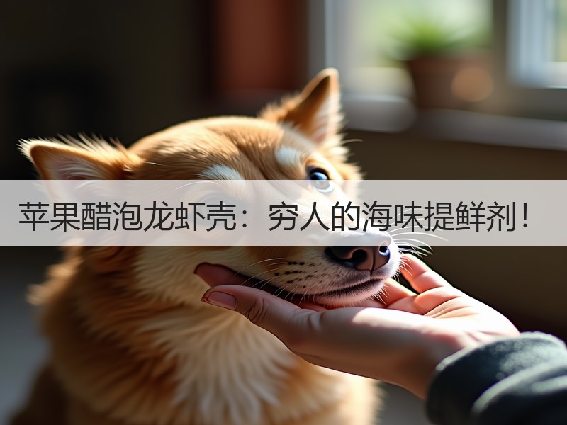 苹果醋泡龙虾壳：穷人的海味提鲜剂！