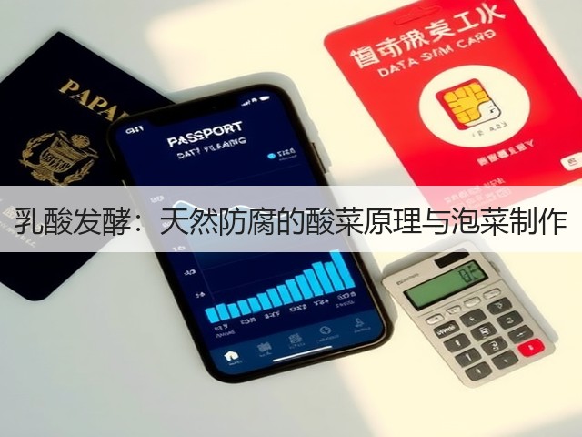 乳酸发酵：天然防腐的酸菜原理与泡菜制作(图3)