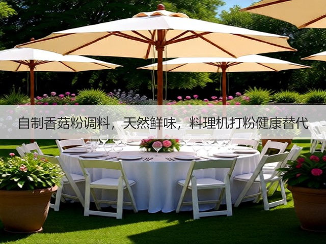 自制香菇粉调料，天然鲜味，料理机打粉健康替代(图3)