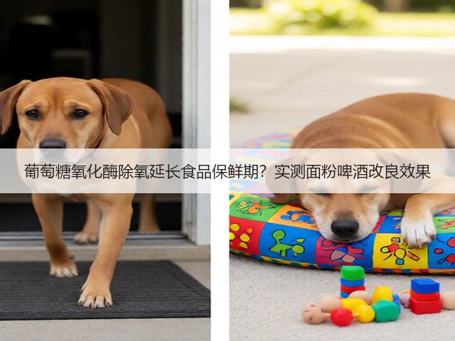 葡萄糖氧化酶除氧延长食品保鲜期？实测面粉啤酒改良效果(图3)