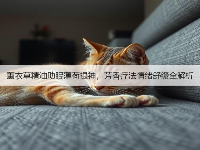 薰衣草精油助眠薄荷提神，芳香疗法情绪舒缓全解析(图4)