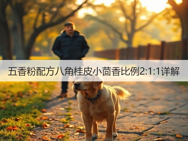 五香粉配方八角桂皮小茴香比例2:1:1详解(图3)
