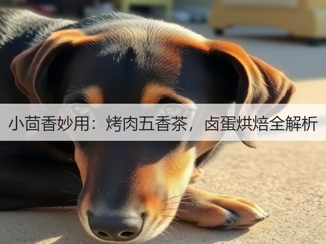 小茴香妙用：烤肉五香茶，卤蛋烘焙全解析(图1)