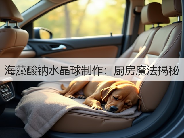 海藻酸钠水晶球制作：厨房魔法揭秘(图3)