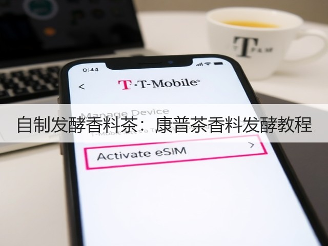 自制发酵香料茶：康普茶香料发酵教程(图1)