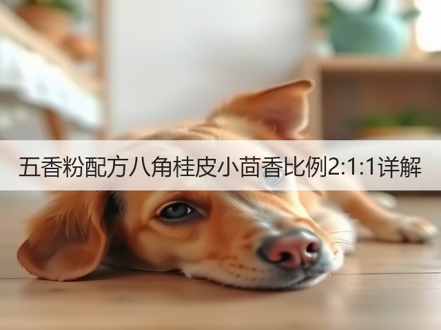 五香粉配方八角桂皮小茴香比例2:1:1详解(图1)