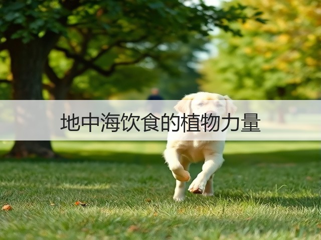 地中海饮食的植物力量(图2)