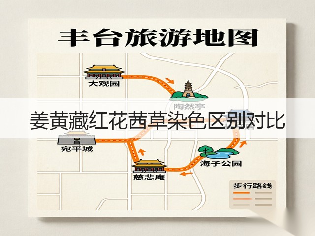 姜黄藏红花茜草染色区别对比(图5)