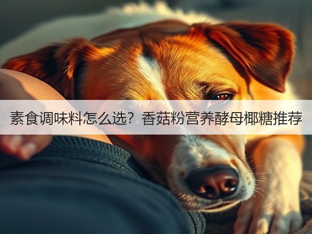 素食调味料怎么选？香菇粉营养酵母椰糖推荐(图5)
