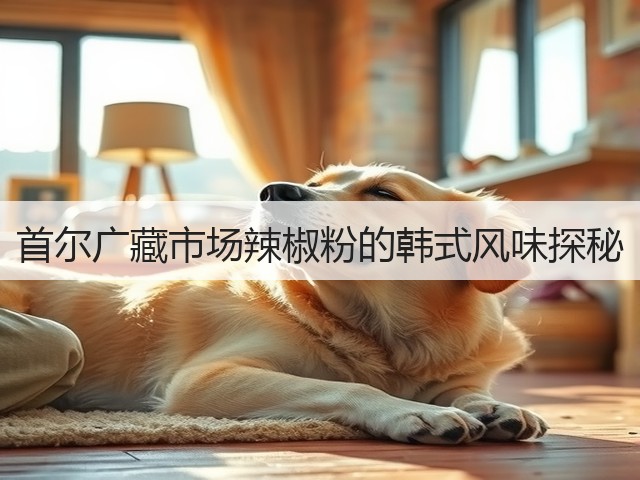 首尔广藏市场辣椒粉的韩式风味探秘(图3)